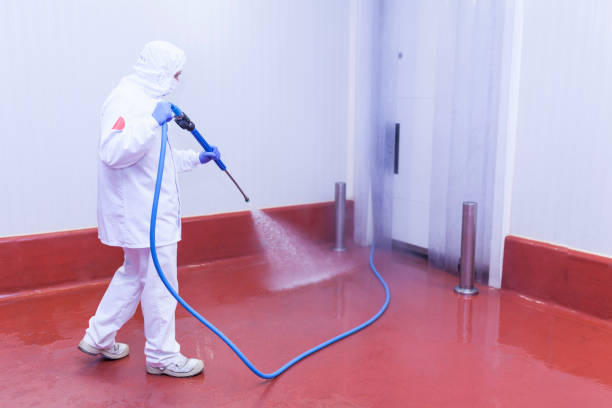 Pre-Holiday Cleaning in Windsor, CA